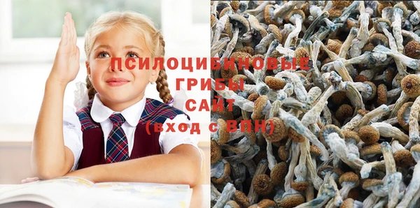 первитин Богданович