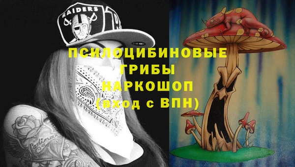 синтетический гашиш Богородск