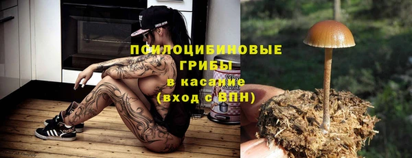 первитин Богданович
